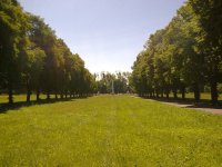 Cmentarz żołnierzy radzieckich w Braniewie